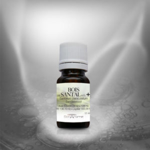 Bois de Santal+ (11 ml)