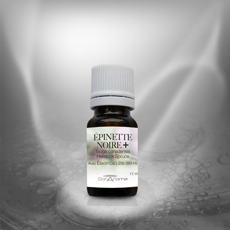 Huile essentielle d’Épinette noire+ (11 ml)