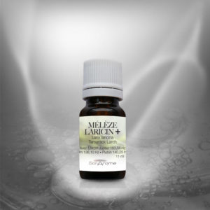 Huile Essentielle de Mélèze+ (11 ml)