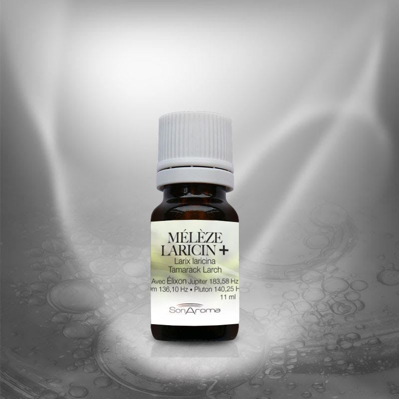 Huile Essentielle de Mélèze+ (11 ml)