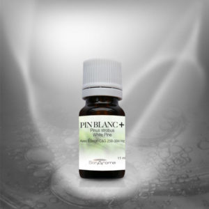 Huile essentielle de Pin blanc+ (11 ml)