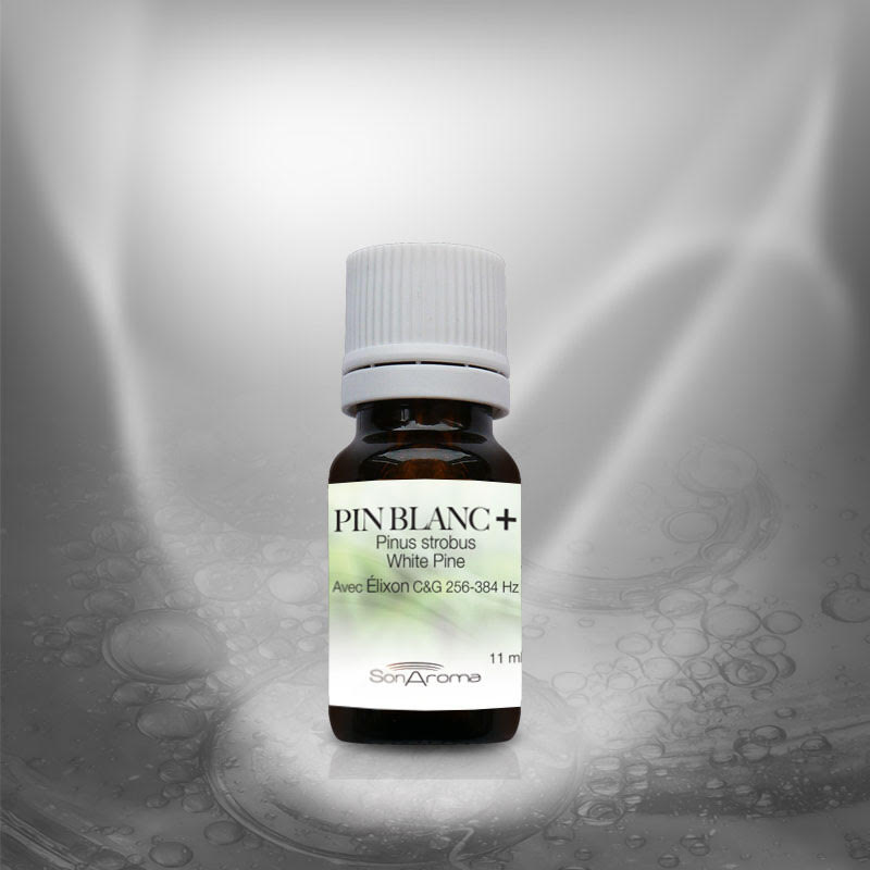 Huile essentielle de Pin blanc+ (11 ml)
