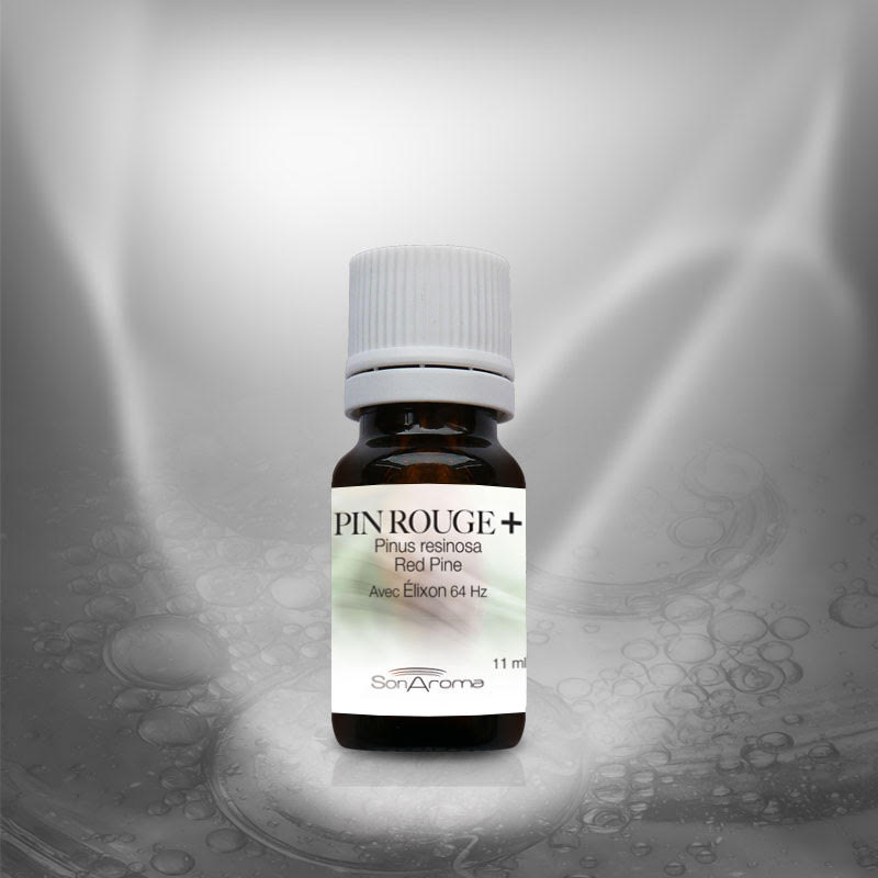 Huile essentielle de Pin rouge+ (11 ml)