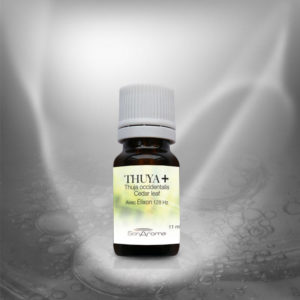 Huile essentielle de Thuya+ (11 ml)