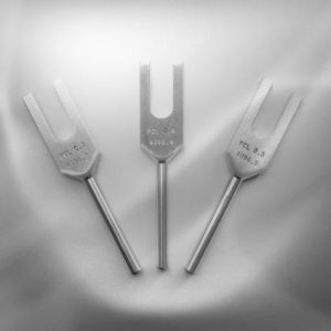 Set PCL 0,1 à 0,5 Hz - Potentiels Corticaux Lents - 3 diapasons
