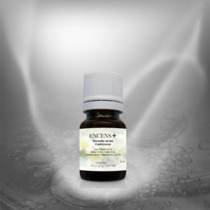 Encens+  (bio) 5 ml
