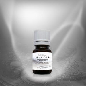 Nard de l’Himalaya+ (bio) 5 ml