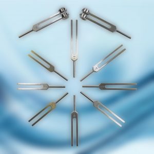 Kit de Départ Protocole Gamme thérapeutique : 1 x Gamme thérapeutique - 2 x 128 Hz lestés