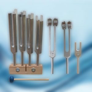 Formule complète Protocole Gamme thérapeutique : 1 x Set Gamme thérapeutique - 2 x 128 Hz – 1 x 4096 Hz - 1 x Support 8 Diapasons - 1 x Mailloche bleue 15 cm