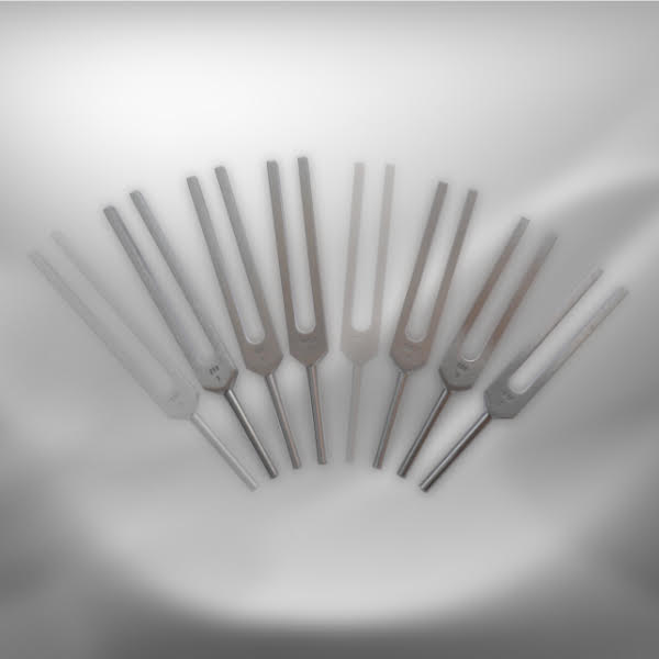 Set Gamme thérapeutique 6 diapasons sans C&G 256-384 Hz
