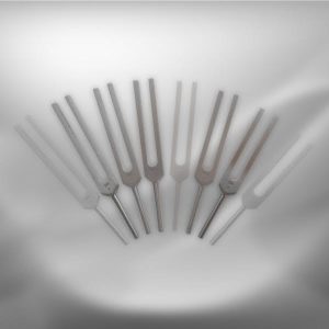 Set Gamme thérapeutique 5 diapasons sans C&G 256-384 Hz & sans 512 Hz